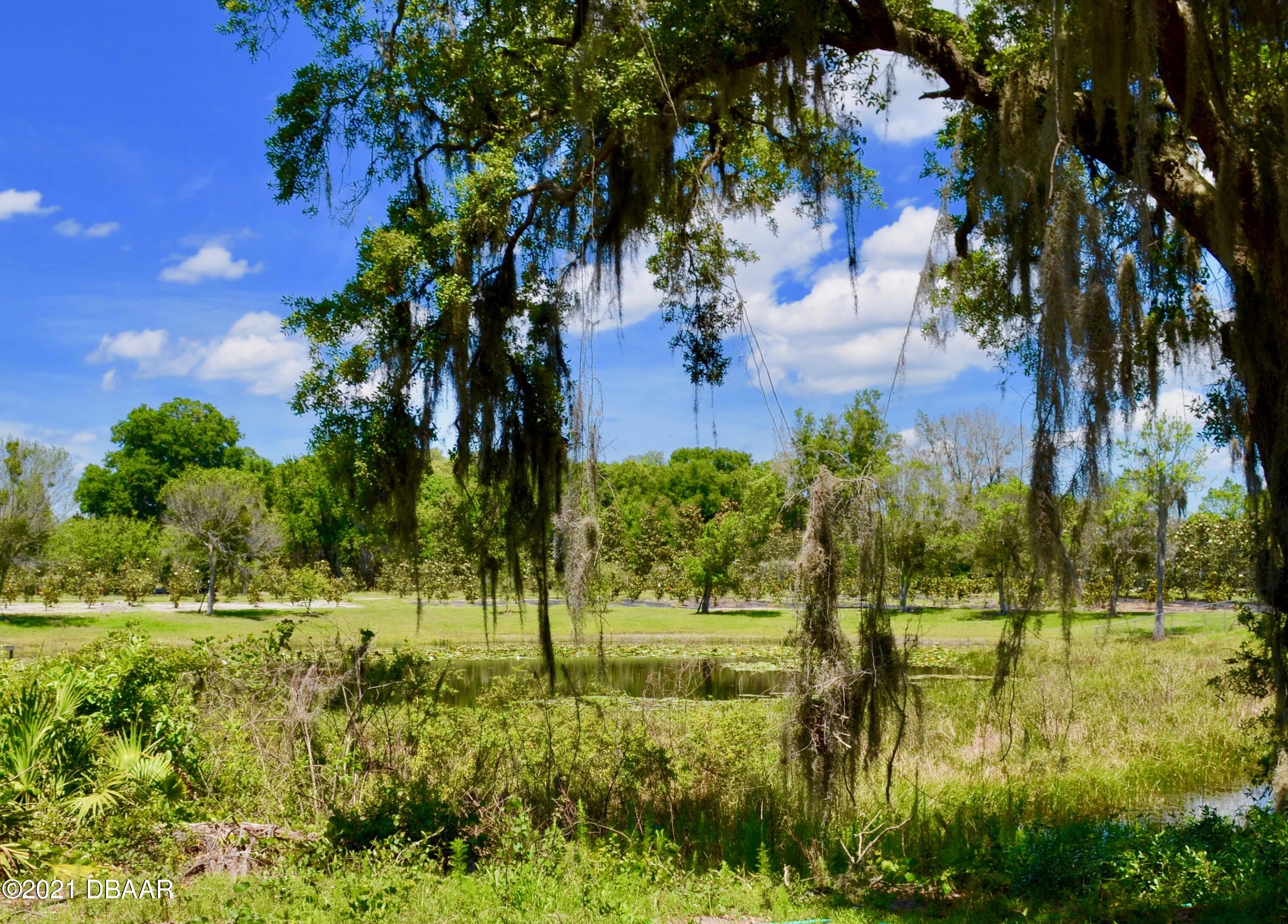 2122 Brownlee Road Seville, FL 32190 - Photo 4 of 20 DSC_2234