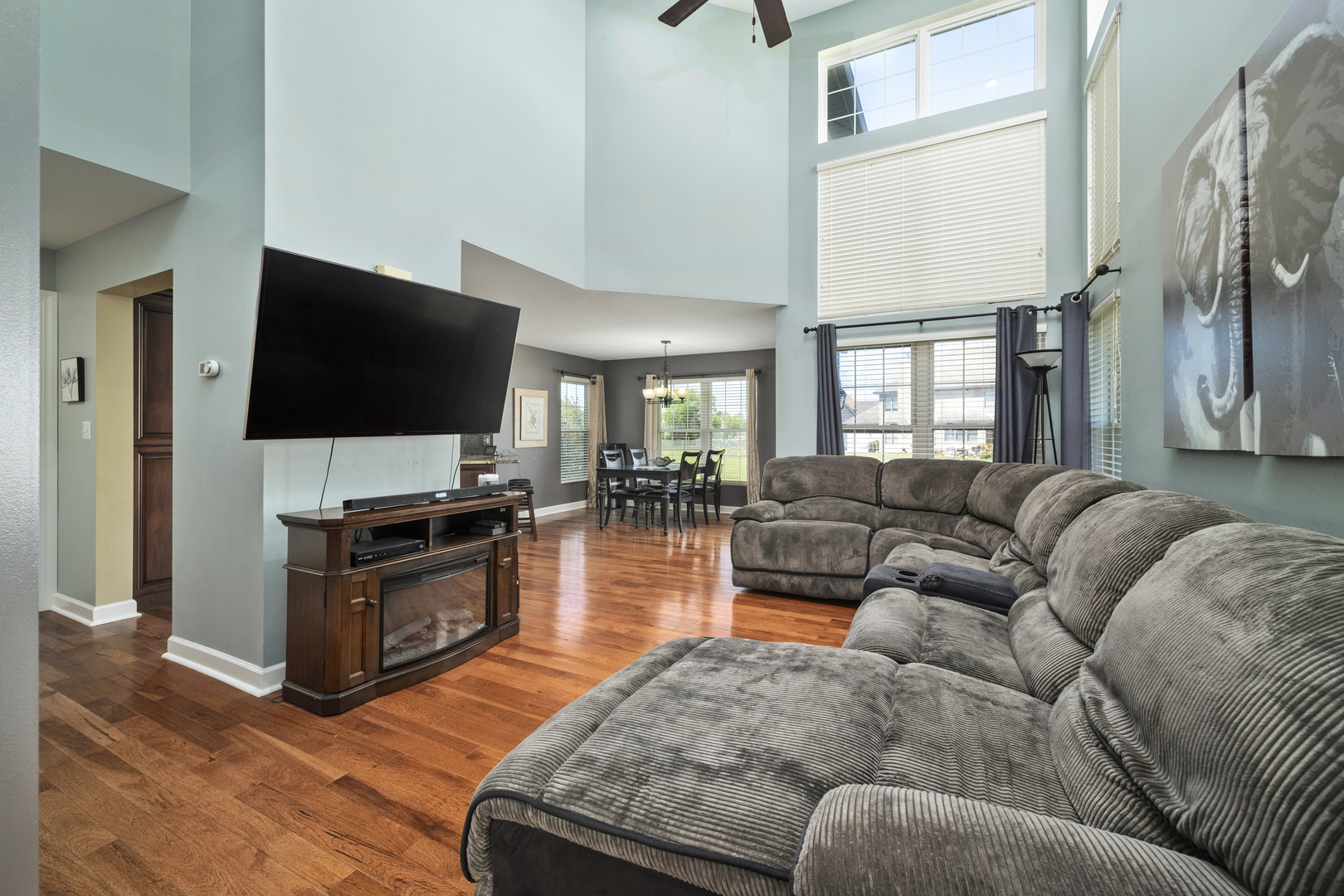 284 South Will Road Diamond, IL 60416 - Photo 5 of 23 a living room with furniture and a flat screen tv