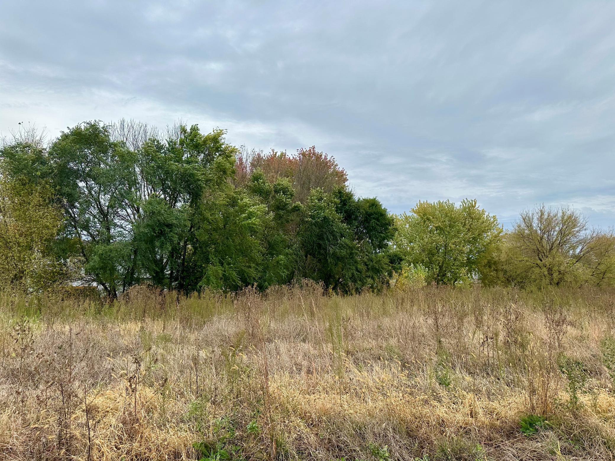 203 Snowdrop Trail Waconia, MN 55387 - Photo 21 of 38