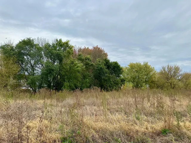 $509,990 | 203 Snowdrop Trail, Waconia, MN 55387