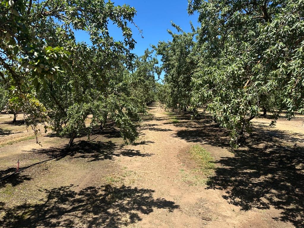 12400 East Keyes Road Denair, CA 95316 - Photo 18 of 29
