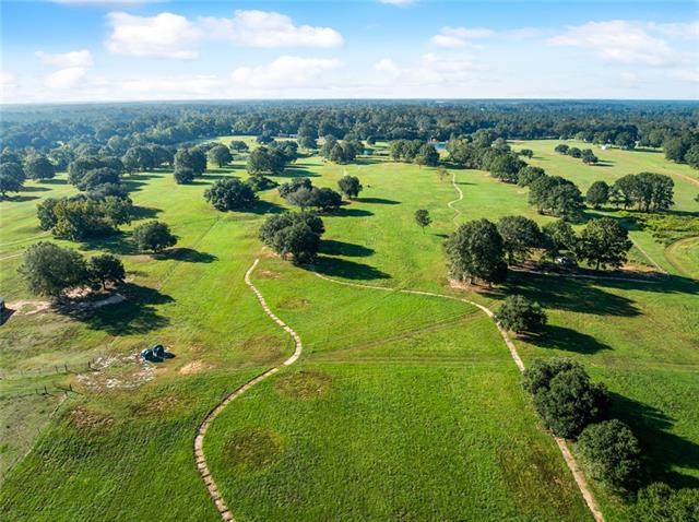 Tbd Simmons Road Franklinton, LA 70438 - Photo 19 of 23