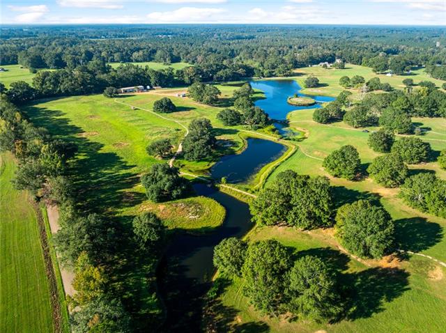 Tbd Simmons Road Franklinton, LA 70438 - Photo 20 of 23