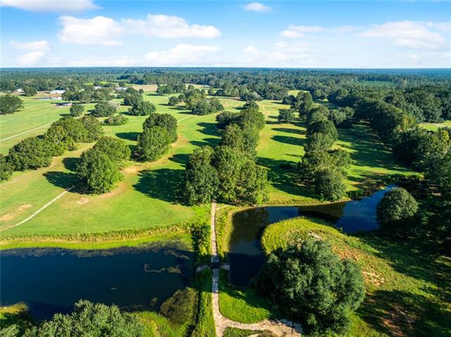 Tbd Simmons Road Franklinton, LA 70438 - Photo 22 of 23