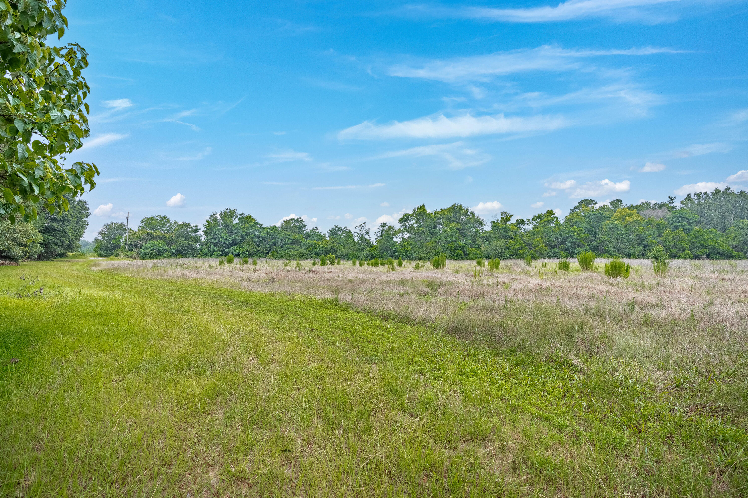 242 Hammond Road Beech Island, SC 29842 - Photo 12 of 68