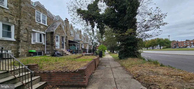 a view of a yard with plants and large tree