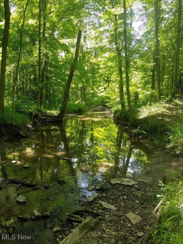 Bates Road Madison, OH 44057 - Photo 12 of 13 wooded