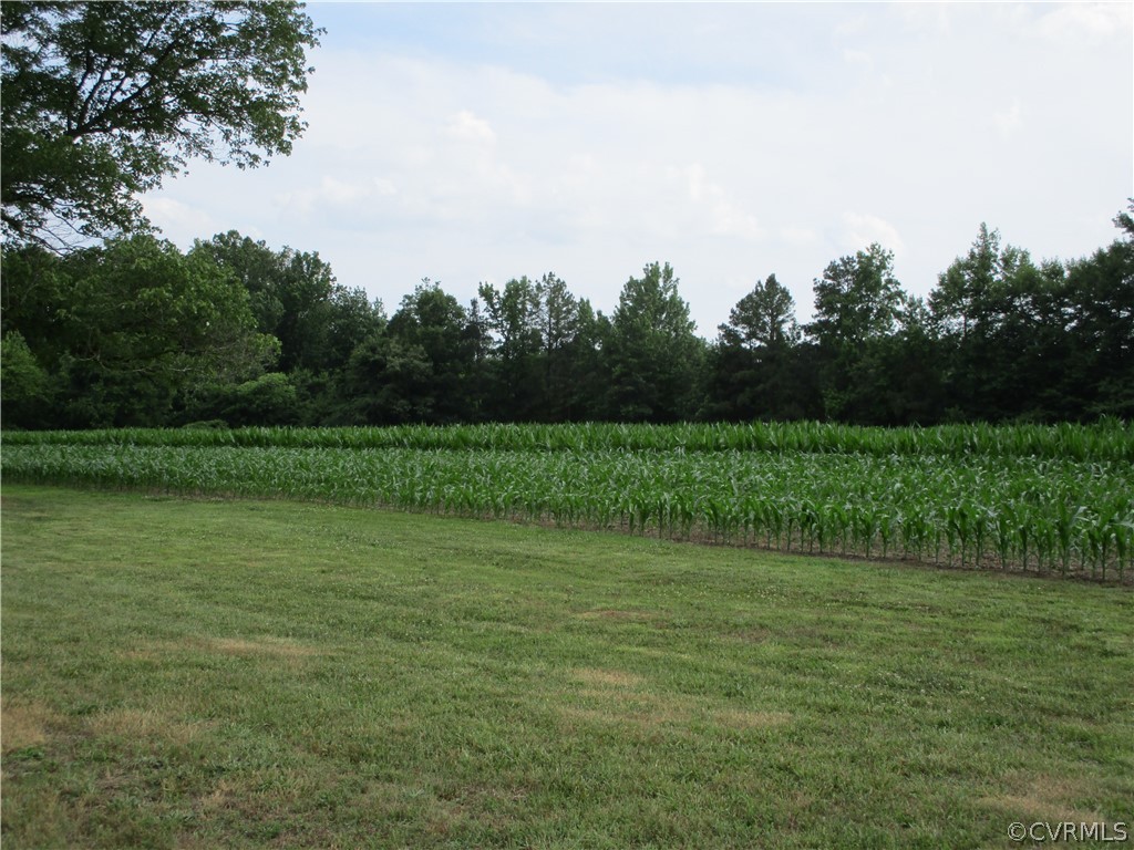 3093 Nelsons Bridge Road Hanover, VA 23069 - Photo 3 of 14 Gallery Image 3