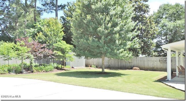 110 East Blalock Road Lucama, NC 27851 - Photo 42 of 47 41_Backyard