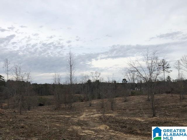 Pine Mountain Road, Unit 2 Springville, AL 35146 - Photo 9 of 16