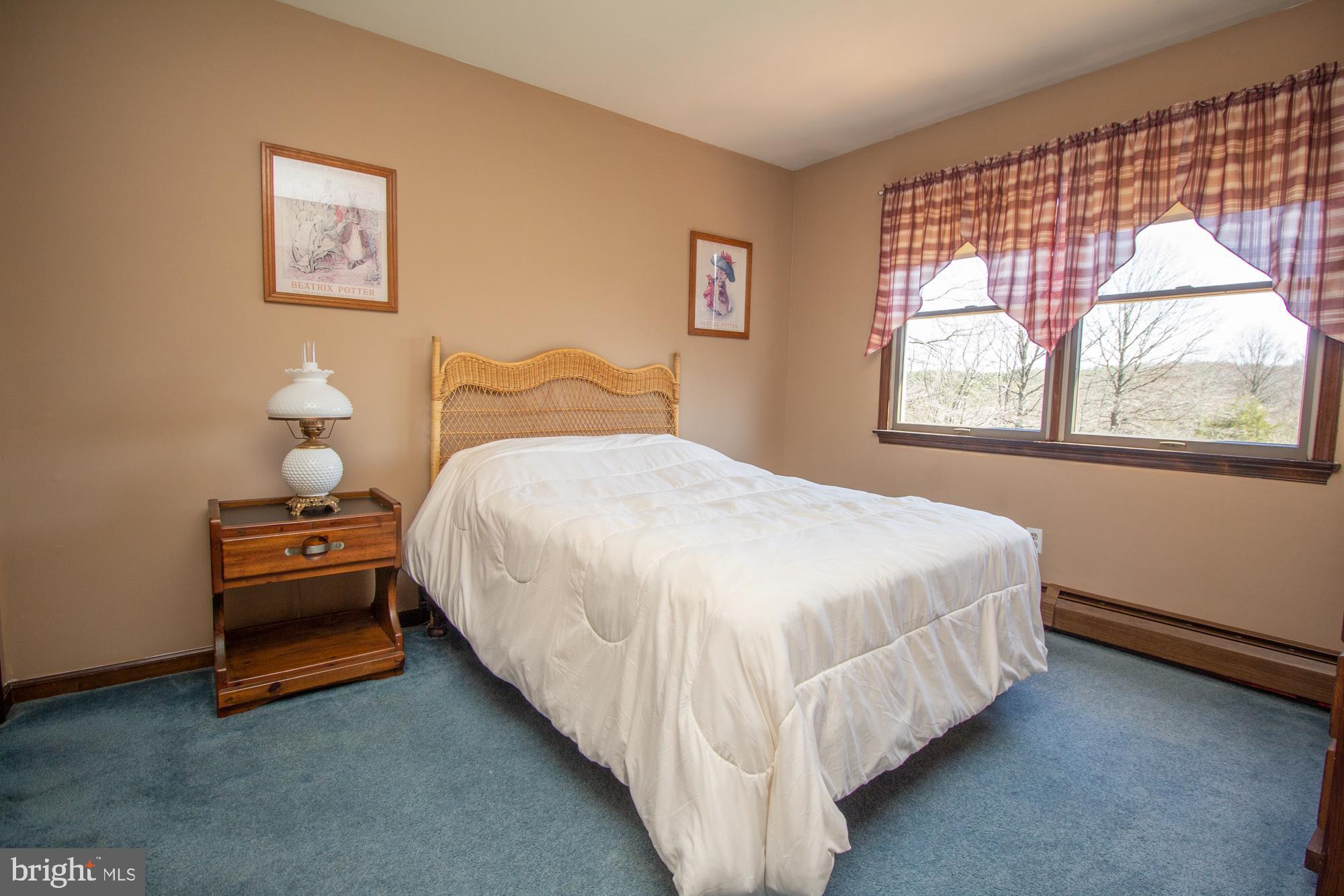 5390 North Branch Road Pipersville, PA 18947 - Photo 26 of 47 Gallery Image 26