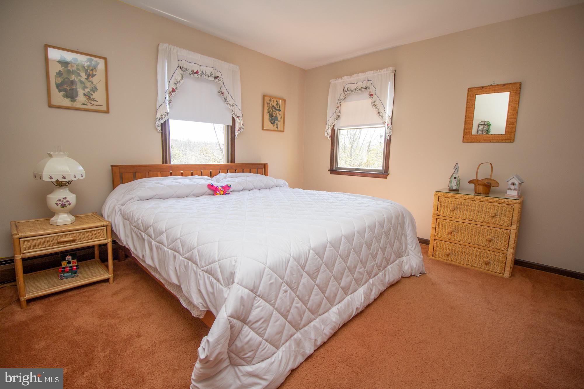 5390 North Branch Road Pipersville, PA 18947 - Photo 29 of 47 Gallery Image 29