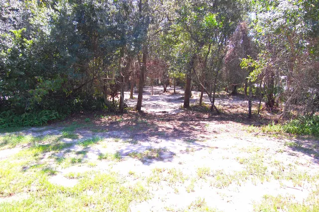 a backyard of a house with lots of green space