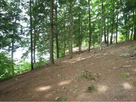 Lot 26 Forest Road Wolfeboro, NH 03894 - Photo 8 of 10 Gallery Image 8