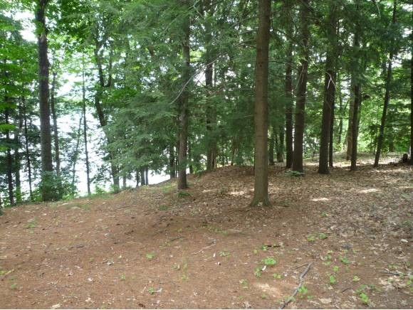 Lot 26 Forest Road Wolfeboro, NH 03894 - Photo 9 of 10 Gallery Image 9