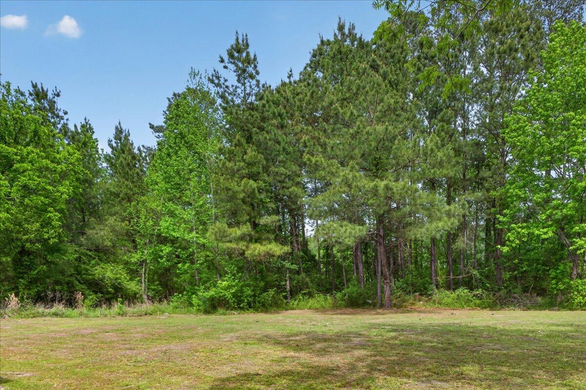 119 State Rd S-38-1804 Vance, SC 29163 - Photo 5 of 68 IMG_1986