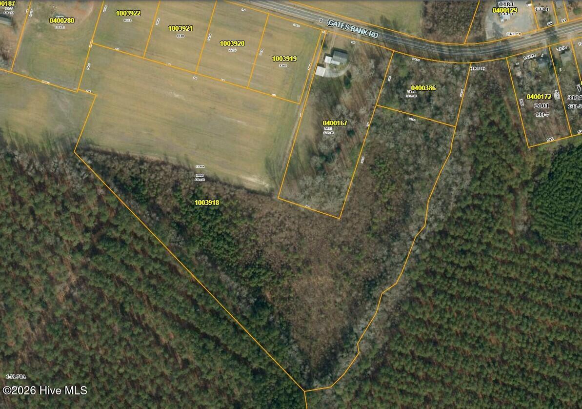 0 Gates Bank Road Gates, NC 27937 - Photo 3 of 4