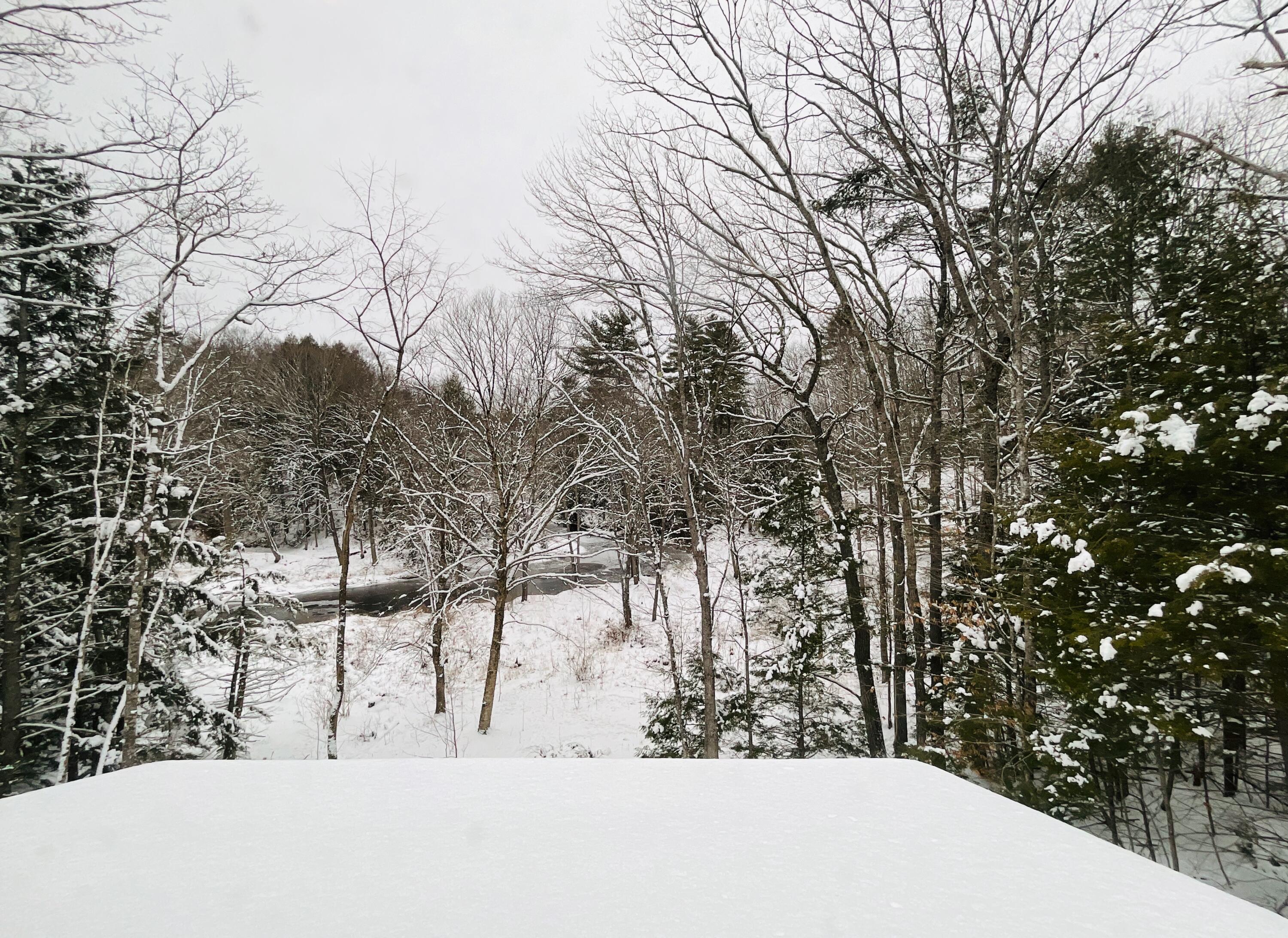 41 Laren Road Jefferson, ME 04348 - Photo 49 of 53 View from Bedroom 3