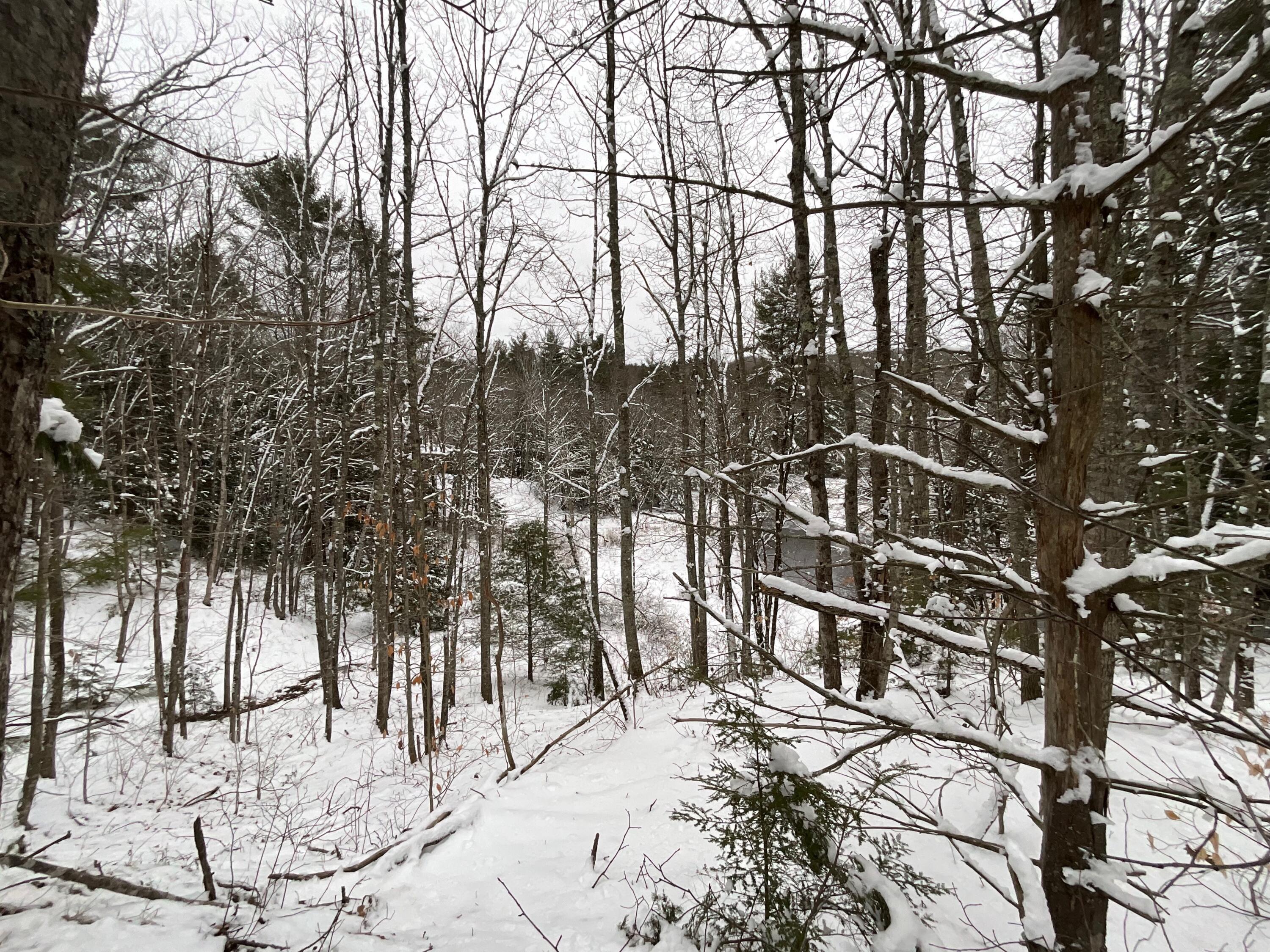 41 Laren Road Jefferson, ME 04348 - Photo 53 of 53 View of stream from upper lot