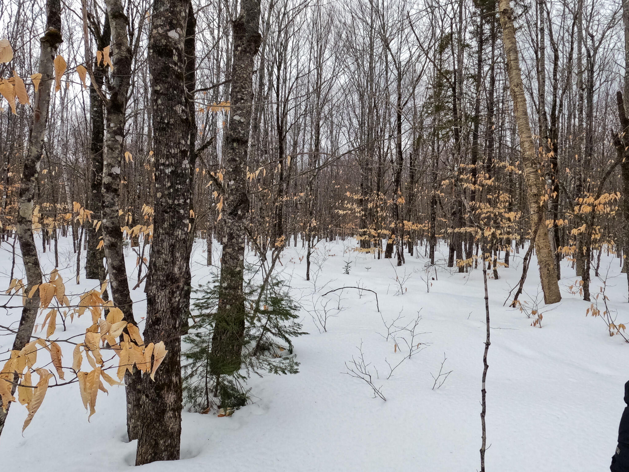 M2-l27-20 Smith Road Brownville, ME 04414 - Photo 12 of 27 GOPR0680
