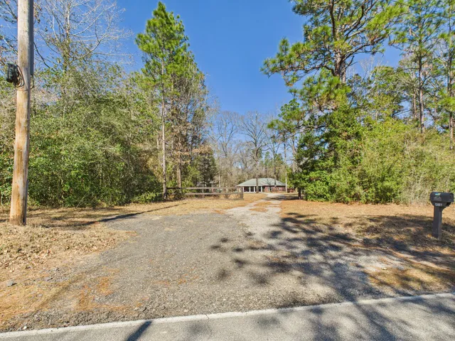 a view of dirt yard with a large tree