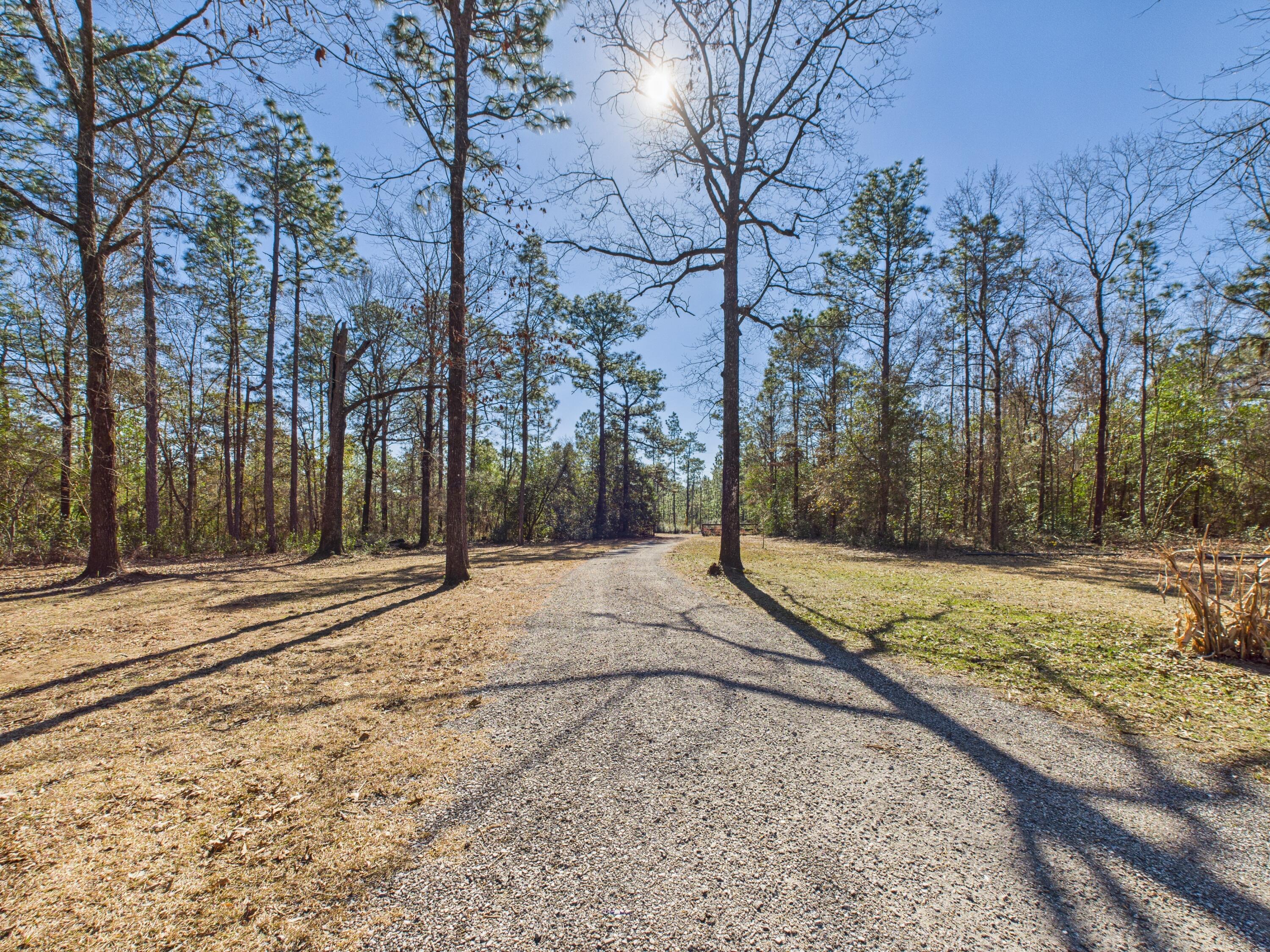 9866 Red Rock Road Milton, FL 32570 - Photo 3 of 44 Driveway Entry View from Home