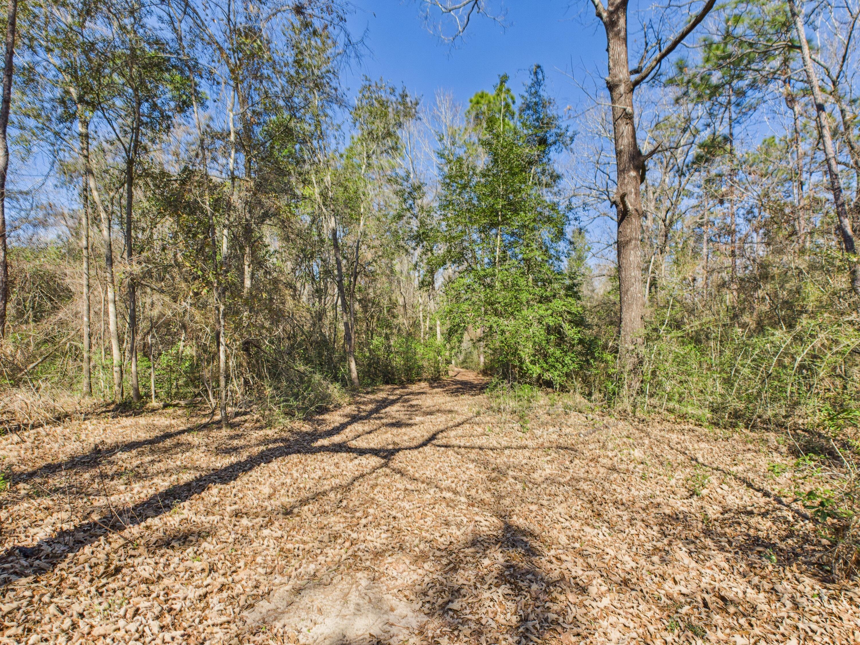 9866 Red Rock Road Milton, FL 32570 - Photo 41 of 44 Trail on the property