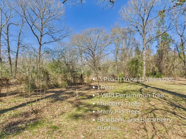 a storage room with lots of clutter and cars