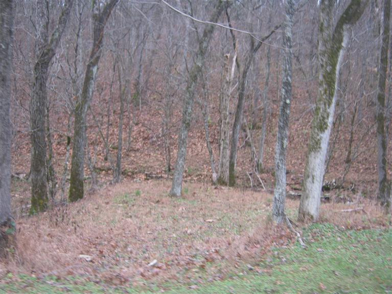 1190 Browns Store Road Lawrenceburg, KY 40342 - Photo 25 of 46 Photo 26