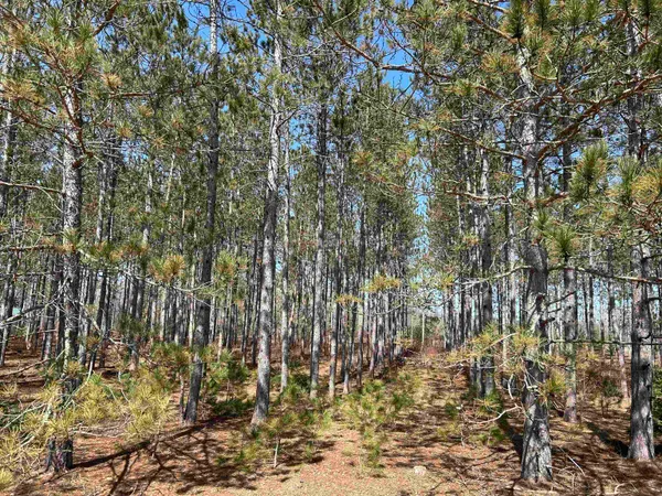 $45,000 | Lot 4 Meadow Lane, Thompsonville, MI 49683
