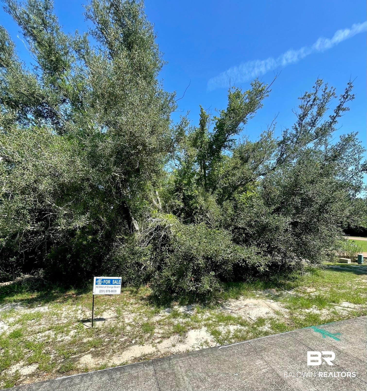 Lot 123 River Road Orange Beach, AL 36561 - Photo 2 of 10