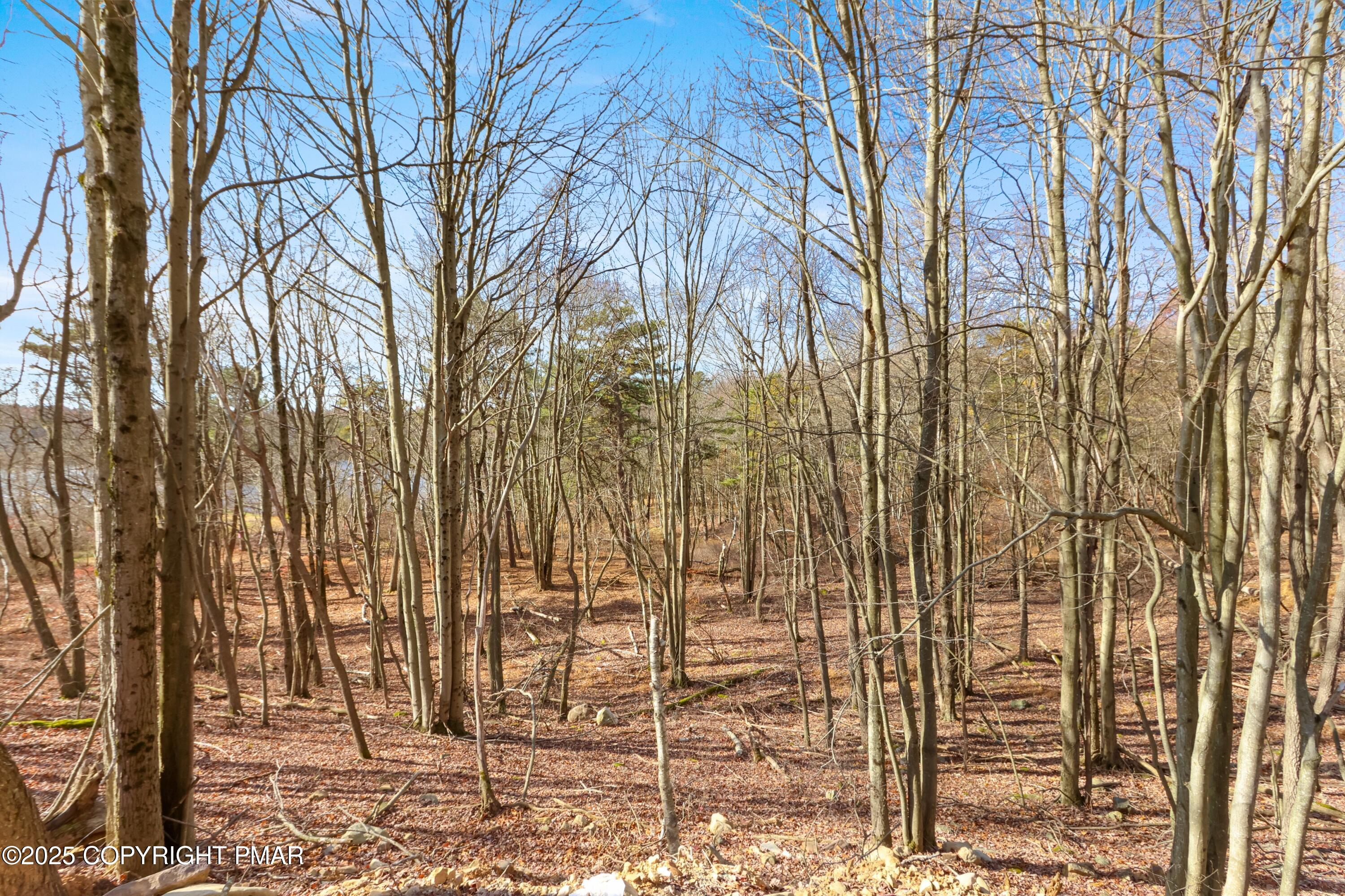 102 Eagle View Long Pond, PA 18334 - Photo 26 of 39 095A0894