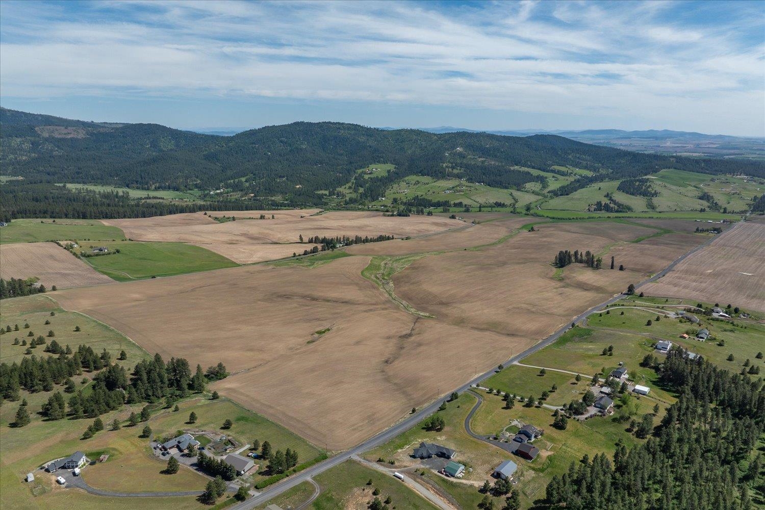 -xxx South Jackson Road Mica, WA 99023 - Photo 5 of 50