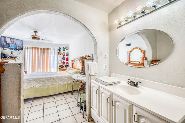 a street view with large trees