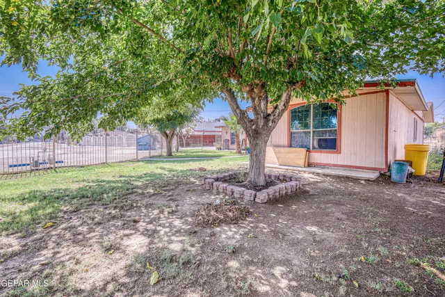 a view of a backyard with large trees