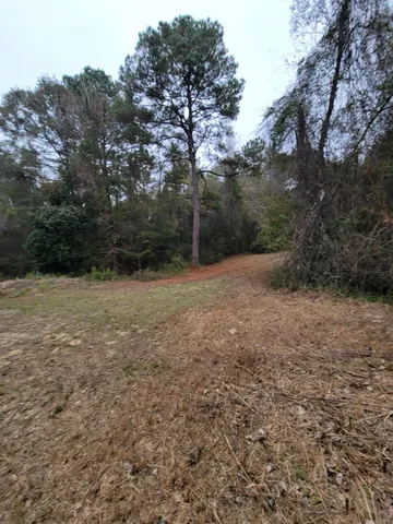 a view of outdoor space and yard