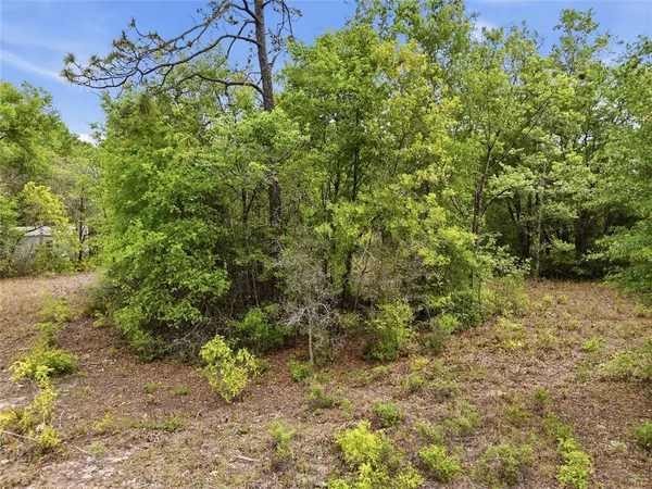 $49,900 | 8830 Northeast 118 Terrace, Bronson, FL 32621