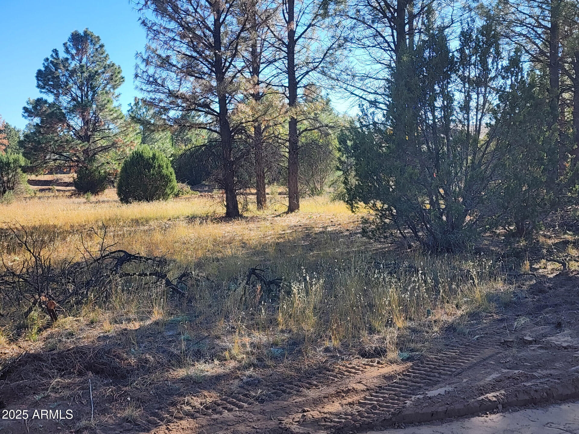 Tbd Tbd Cedar Bark Trail, Unit 4 Overgaard, AZ 85933 - Photo 2 of 6 TBDCedarBarkTrailParcel4_62434_2