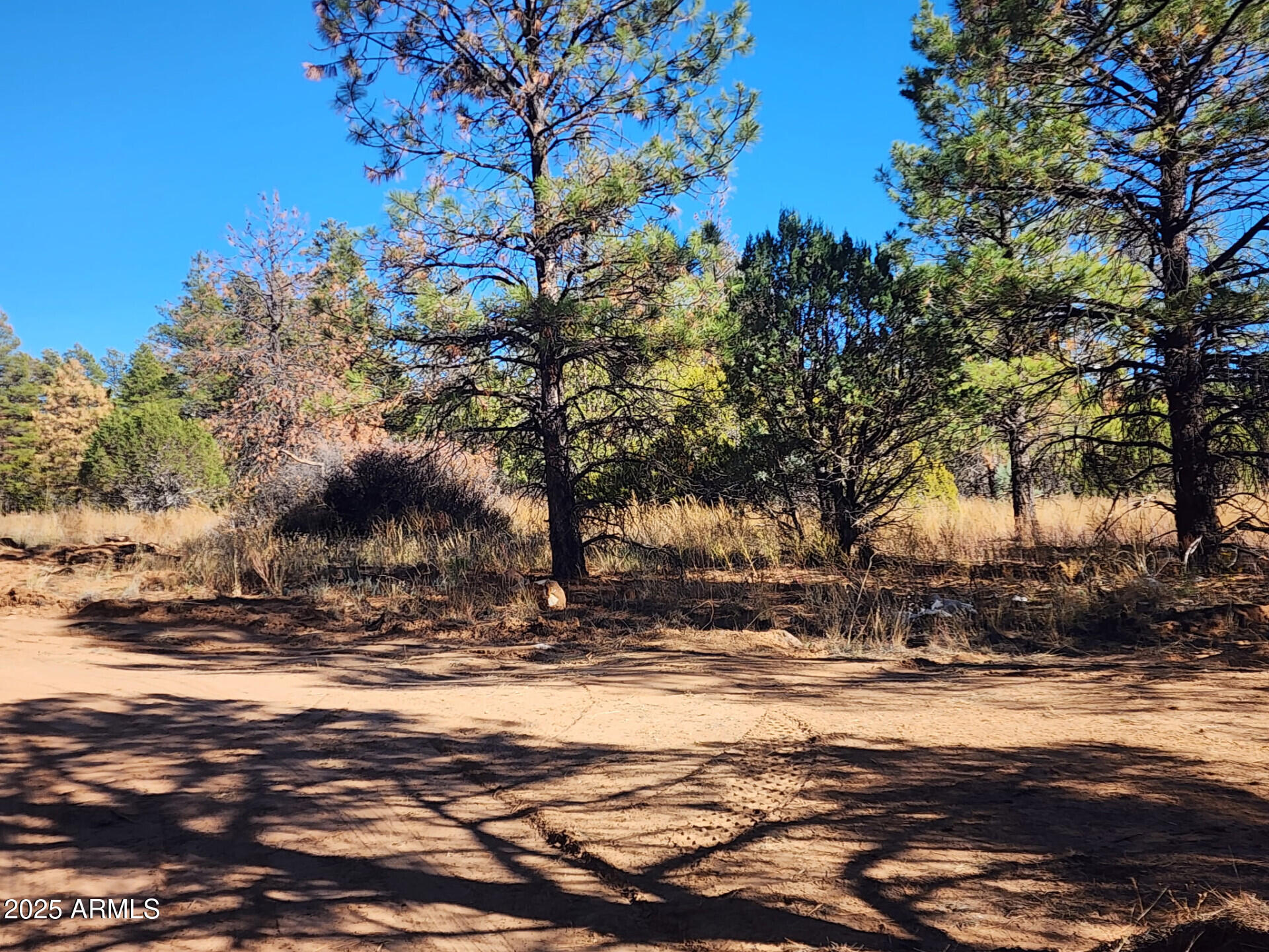Tbd Tbd Cedar Bark Trail, Unit 4 Overgaard, AZ 85933 - Photo 3 of 6 TBDCedarBarkTrailParcel4_62434_3