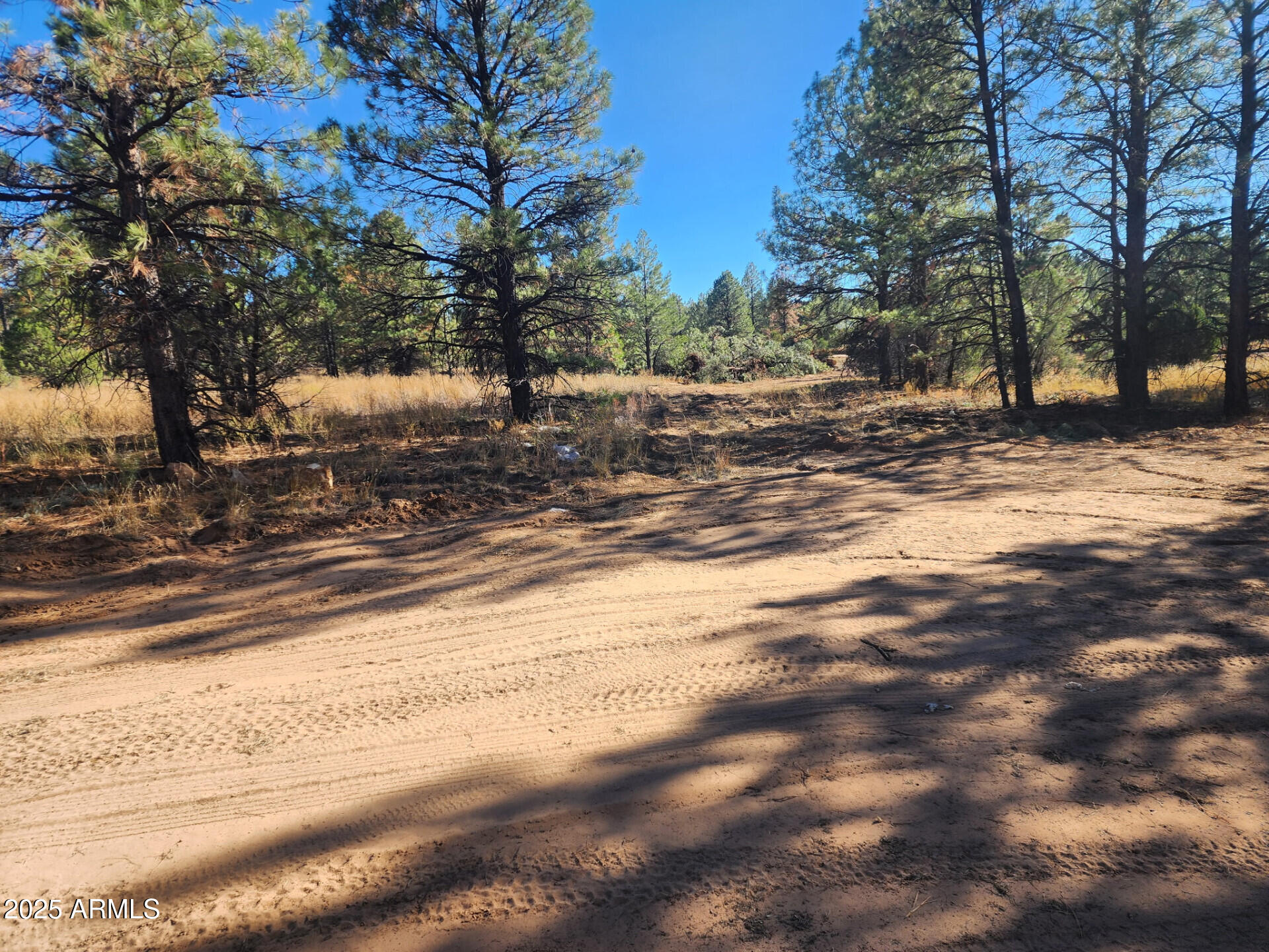 Tbd Tbd Cedar Bark Trail, Unit 4 Overgaard, AZ 85933 - Photo 4 of 6 TBDCedarBarkTrailParcel4_62434_4