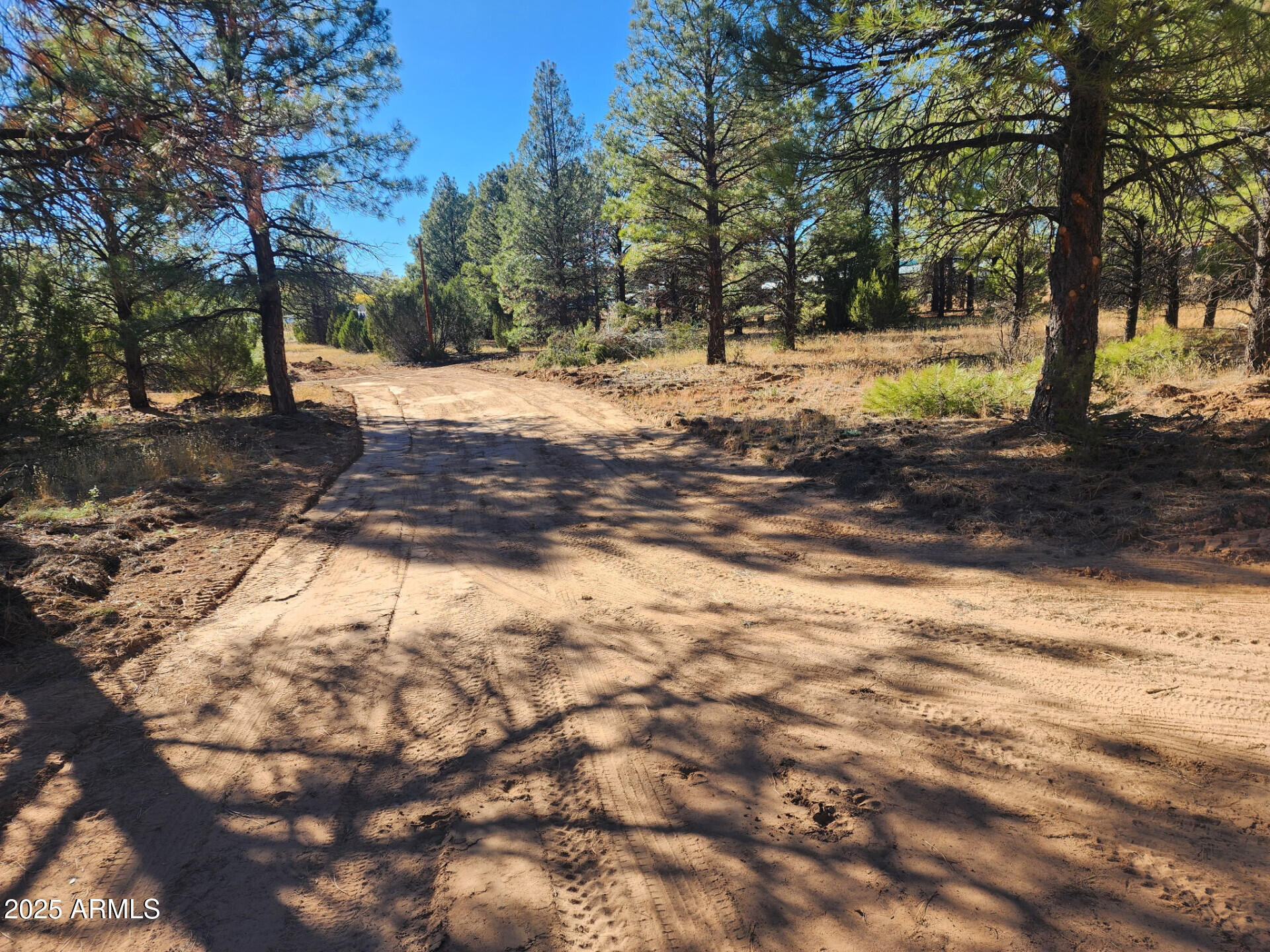 Tbd Tbd Cedar Bark Trail, Unit 4 Overgaard, AZ 85933 - Photo 5 of 6 TBDCedarBarkTrailParcel4_62434_5