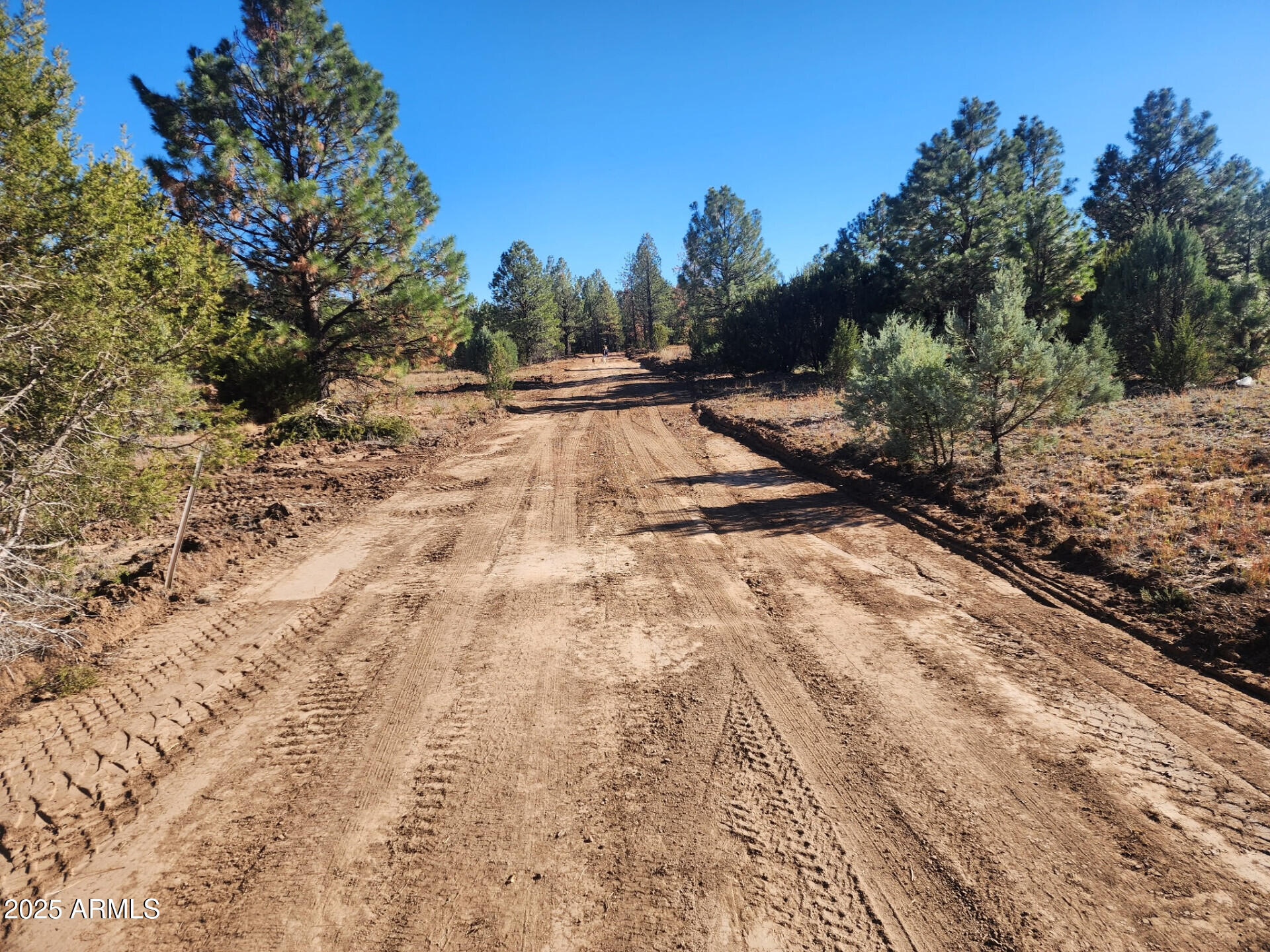 Tbd Tbd Cedar Bark Trail, Unit 4 Overgaard, AZ 85933 - Photo 6 of 6 TBDCedarBarkTrailParcel4_62434_6