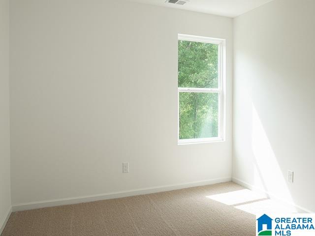 212 Leonards Court Calera, AL 35040 - Photo 25 of 26