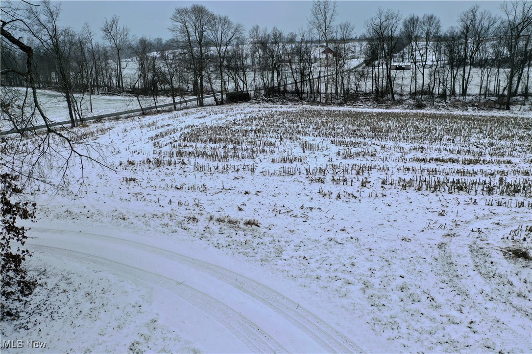 9602 Munson Road Wooster, OH 44691 - Photo 13 of 45 View of snowy yard