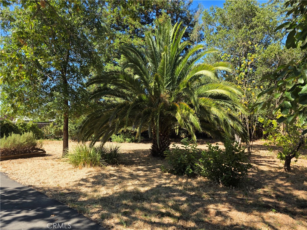 85 Hiatt Road Cloverdale, CA 95425 - Photo 35 of 42