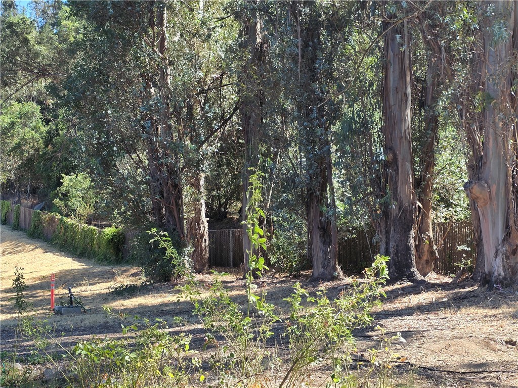 85 Hiatt Road Cloverdale, CA 95425 - Photo 38 of 42