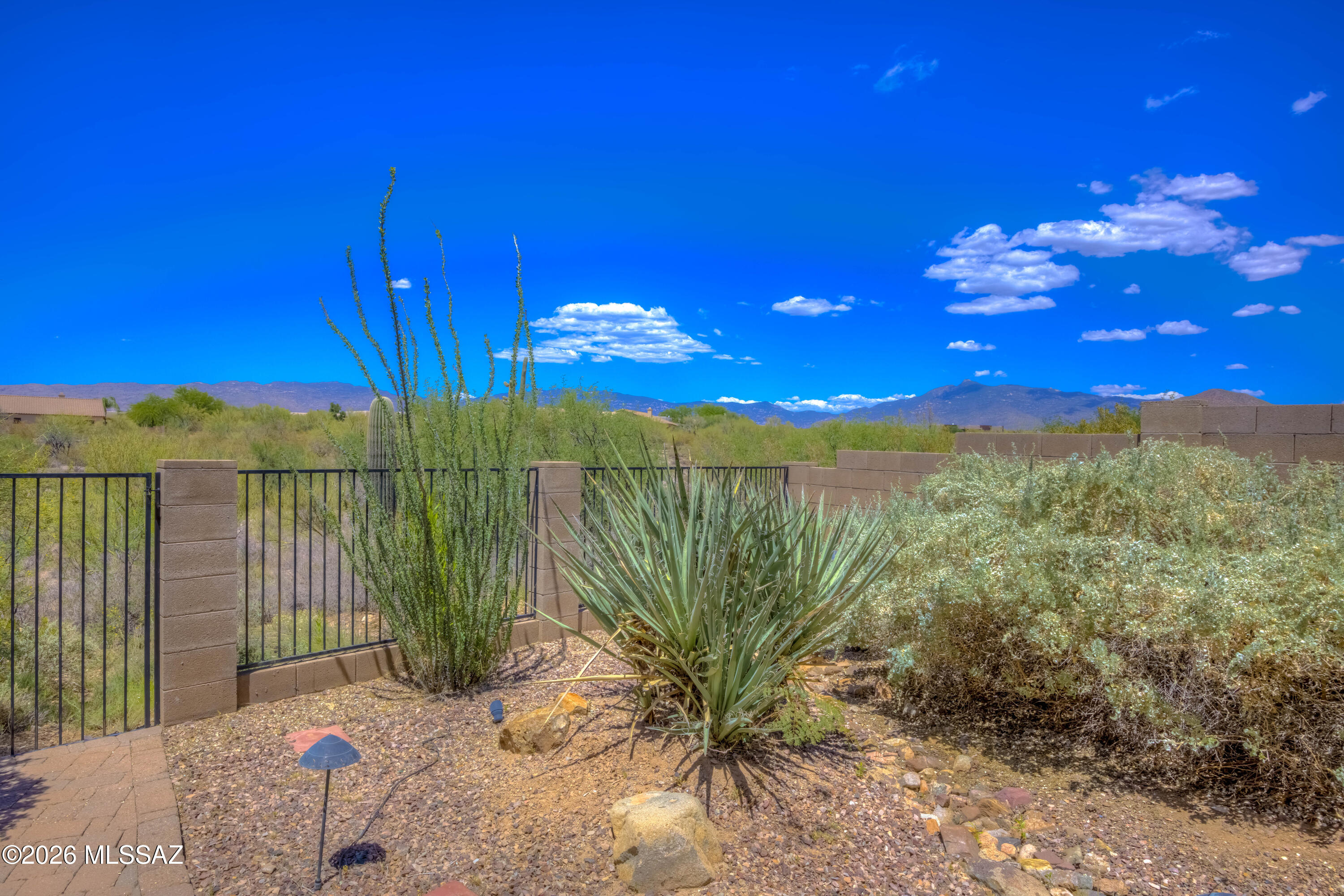 10831 South Heart Break Ridge Place Vail, AZ 85641 - Photo 32 of 41 Backyard
