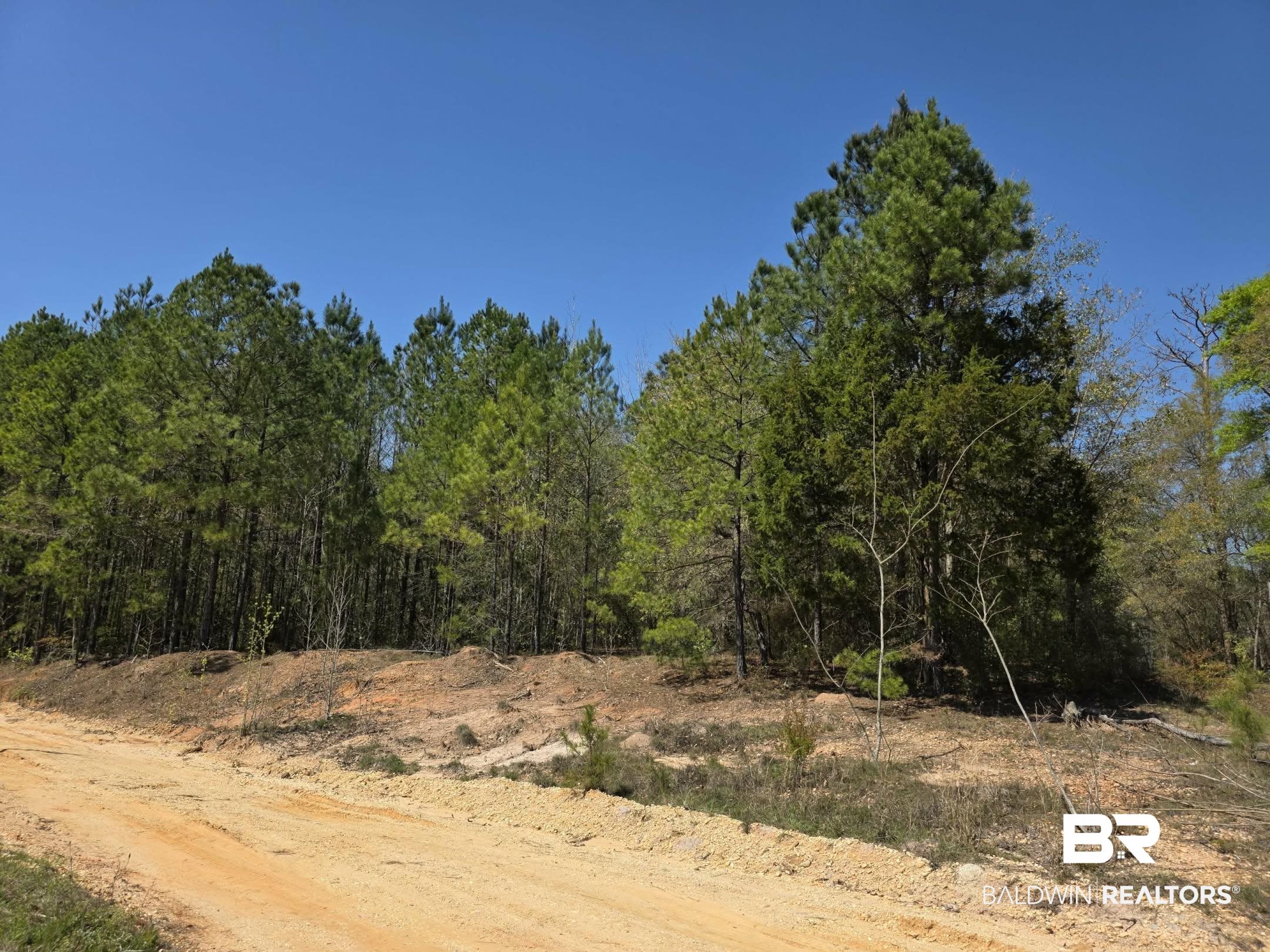 11 Coal Fire Road Jackson, AL 36545 - Photo 10 of 23 View of local wilderness