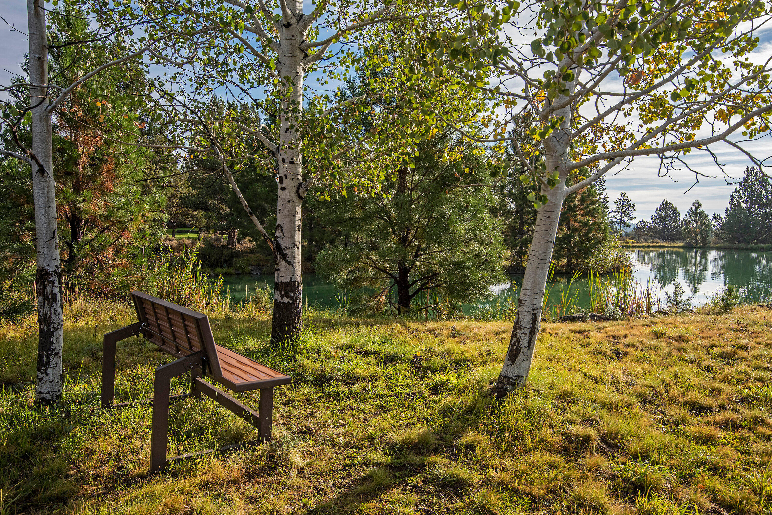 16065 Fox Ridge Circle Sisters, OR 97759 - Photo 14 of 16 a view of yard with trees