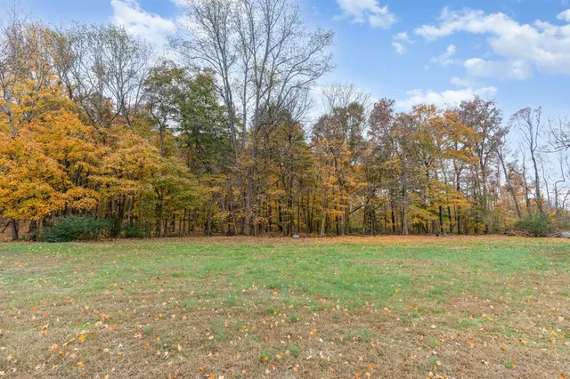 a view of a field of grass and trees